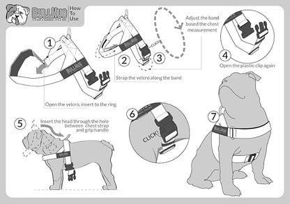 Adjustable Dog Harness– No Pull, No Choke – for English Bulldogs, French Bulldogs, Pugs & Broad-Chested Breeds – Easy, Safe Walks (Royal Blue, Medium)