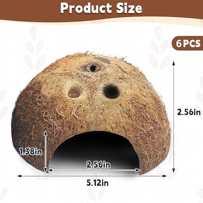 PINVNBY Natural Coconut Reptile Hideouts Lizard, Coco Hut Hermit Crab Hut Aquarium Fish Hide Cave for Small Reptile Crested Gecko Leopard Gecko Spider Snail Climber Toys (6 PCS Natural Surface)
