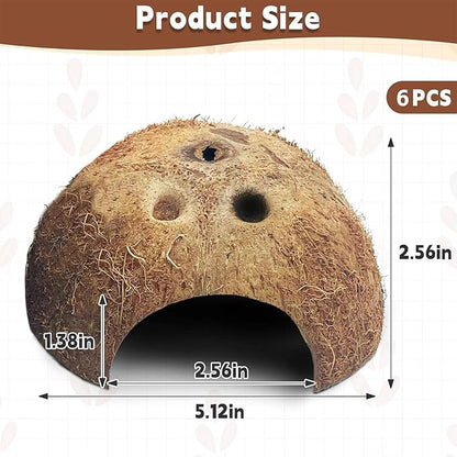 PINVNBY Natural Coconut Reptile Hideouts Lizard, Coco Hut Hermit Crab Hut Aquarium Fish Hide Cave for Small Reptile Crested Gecko Leopard Gecko Spider Snail Climber Toys (6 PCS Natural Surface)