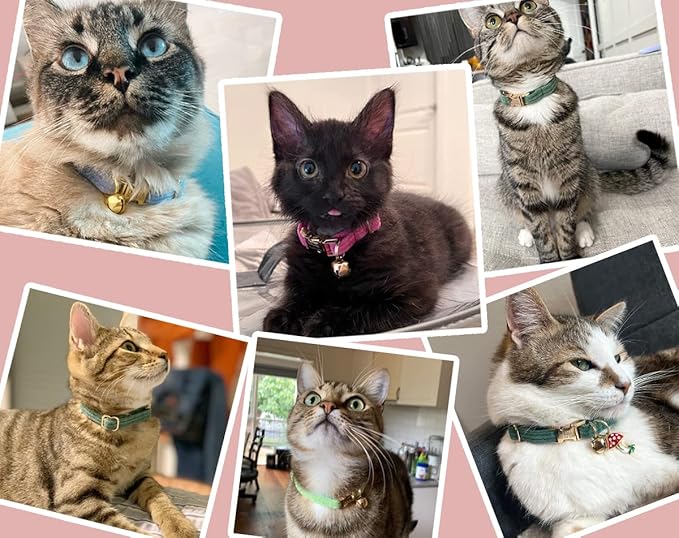 Personalized Cat Collar with Engraved Name Phone Number for Boy and Girl Kitten