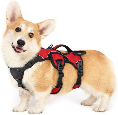 rabbitgoo Escape Proof Dog Harness for Small, No Pull with Lift Handle | No Escape, Full Soft Padded, Reflective Adjustable Vest, Leash Clip for Walking Hiking Training, Red, Small