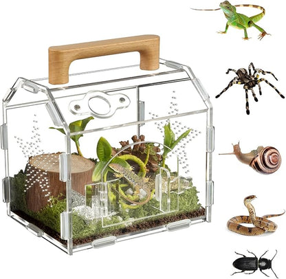 Acrylic Jumping Spider Habitat, Reptile Terrarium Easy Assembly, Bug Enclosure, Praying Mantis Habitat, Frog Enclosure (Small-6.3 * 4.7 * 6.7in)