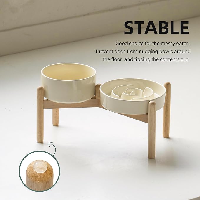 Ceramic 1.2 Cup Raised Slow Feeder Dog Bowl Set, Elevated 6.1inch Bowl and