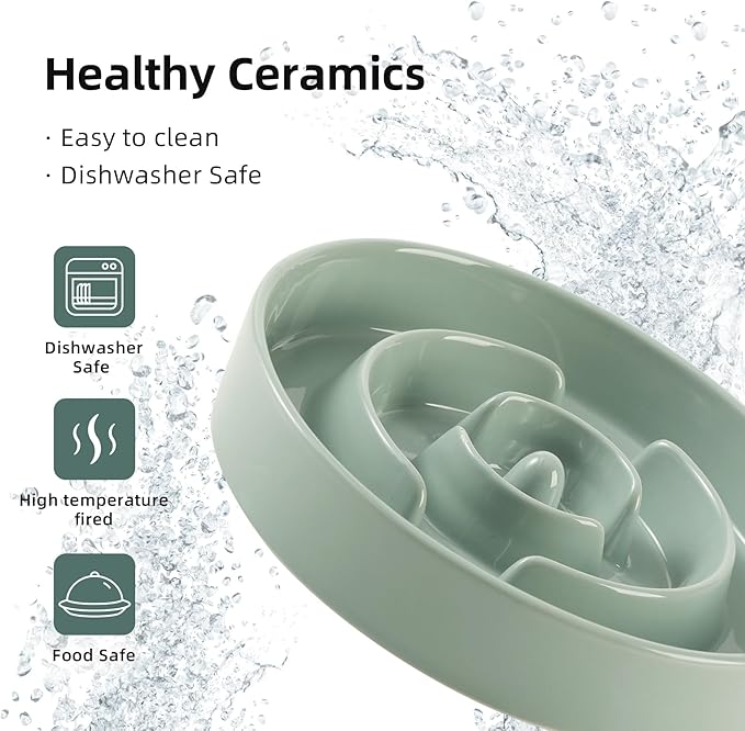 3.2 Cup Ceramic Raised Slow Feeder Dog Bowl Set, Elevated 8.2inch Bowl and