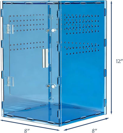 8x8x12 Acrylic Reptile Tank – Cyberpunk Blue Reptile Enclosure Terrarium Inspired by New Caledonia Rainforest – Color Habitat for Geckos & Small Reptiles