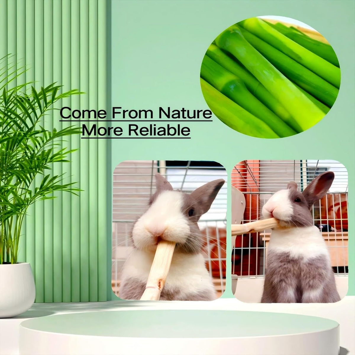 700g/1.5lb Sweet Bamboo Sticks for Rabbits Bunny Chew Toys,Chinchilla Molar Treats Chew Sticks for Small Animals Rabbits Hamsters Guinea Pigs