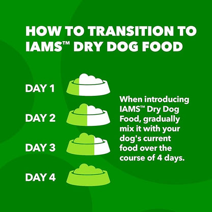 IAMS Proactive Health Minichunks Adult Dry Dog Food with Lamb & Rice, 15 lb. Bag