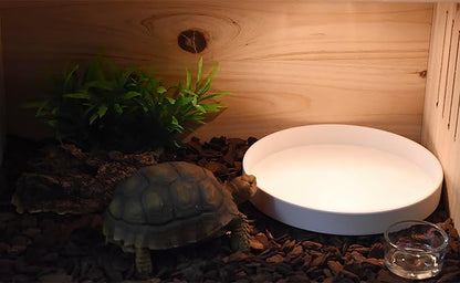 OMEM Reptile Food Bowl Water Dish,Feeding Dish, Birds Bowl (M, White)