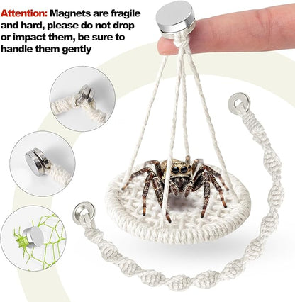 6 PCS Jumping Spider Rope Bridge Swings Set，Jumping Spider Webbed Moss Ribbon Tarantula Enclosure Accessories Natural Cotton Rope Handmade Pet Tiny Animals Enclosure Decorations