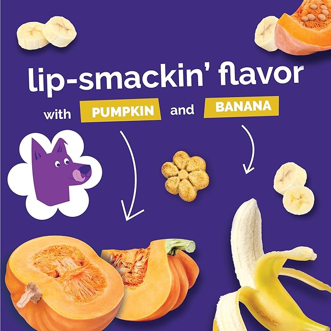 Fruitables Baked Dog Treats, Healthy Pumpkin Treat for Dogs, Low Calorie & Delicious, No Wheat, Corn or Soy, Made in the USA, Pumpkin and Banana Flavor, 7oz