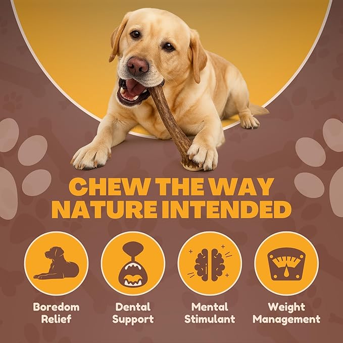 WhiteTail Naturals (3 Pack Deer Antlers for Large Dogs, Antler Dog Chews - Crafted in USA Dog Antler - Long Lasting Bone for Aggressive Chewers