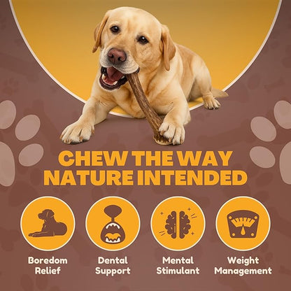 WhiteTail Naturals (3 Pack Deer Antlers for Large Dogs, Antler Dog Chews - Crafted in USA Dog Antler - Long Lasting Bone for Aggressive Chewers