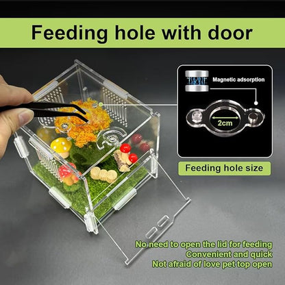 Jumping Spider Enclosure, 4" X 4" X 4" Acrylic Spider Habitat, Front Opening Small Reptile Terrarium with Matrix Ventilation Holes & Feeding Holes, for Jumping Spider Snail Insect