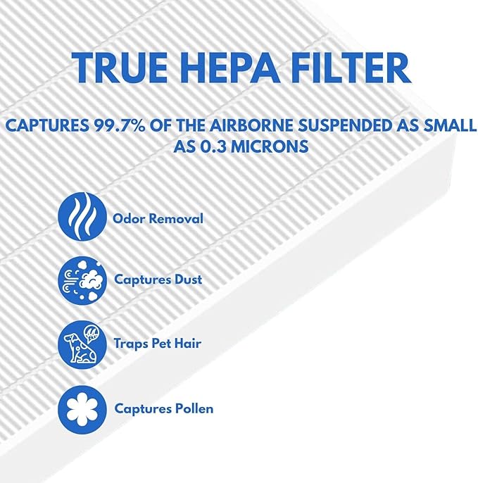 Nispira True HEPA Activated Carbon Replacement Filter Compatible