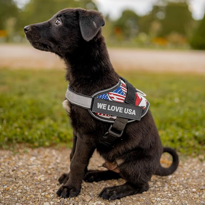 Personalized Dog Harness with Custom Name Patches, Adjustable Reflective No Choke Dog Vest with Handle for Large Dogs, USA, L