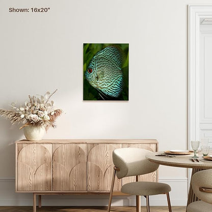 3dRose Blue Exotic Discus Fish Museum Grade Canvas Wrap 16x20