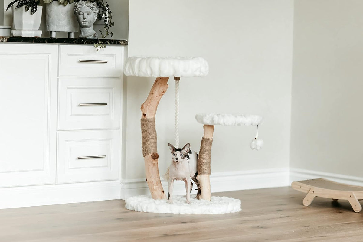 Mau Lifestyle Luxury Cat Tree: Modern Cat Condo & Luxury Wood Cat Tower; Natural Branch Scratching Tree & Cat Condo; Cat Gifts by Mau