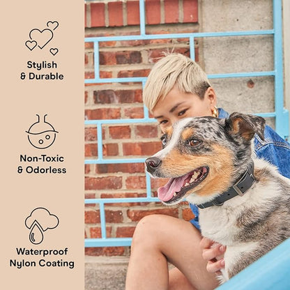 Wild One Dog Collar, Easy-Clean, All Weather Flex-Poly Strap with Metal, Durable, Dirt and Odor Resistant (Black, M)