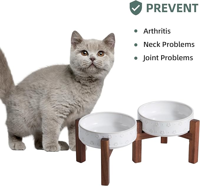 6.1inch Ceramic Raised Double Bowls Set