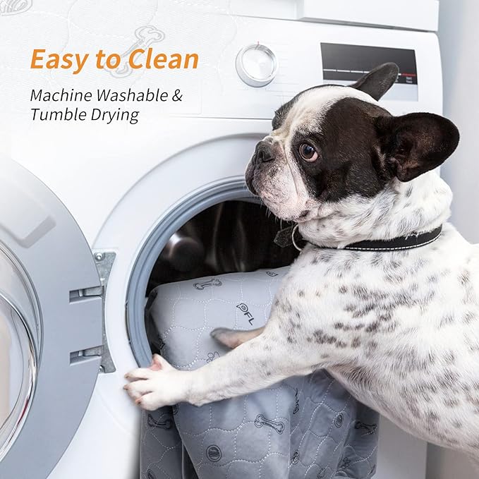 Washable Pee Pads for Dogs, 2 Pack Non-Slip Reusable Puppy Pads 36x36 | Absorbent, Bone Print, Machine Wash Whelping Pads, Dog Mats for Senior Dog, Floor Protector, Crate, Potty Training