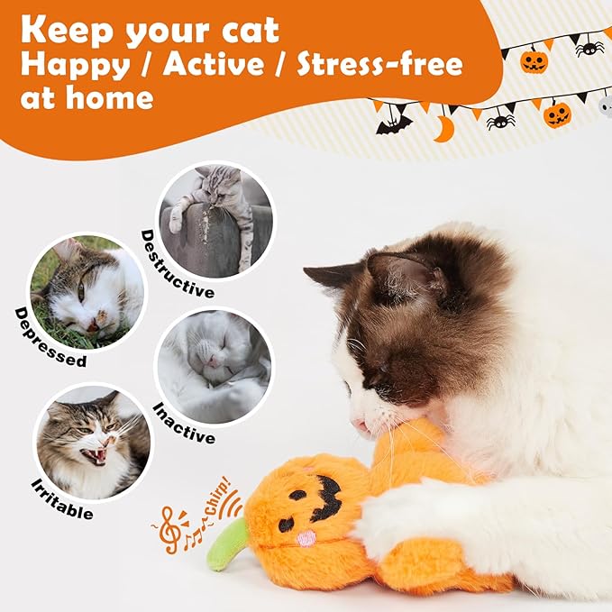 Halloween Catnip Toys, Flapping Pumpkin Catnip Toy, Interactive Kitten Exercise Toys for All Cat Breeds Play Alone, Never Boredom