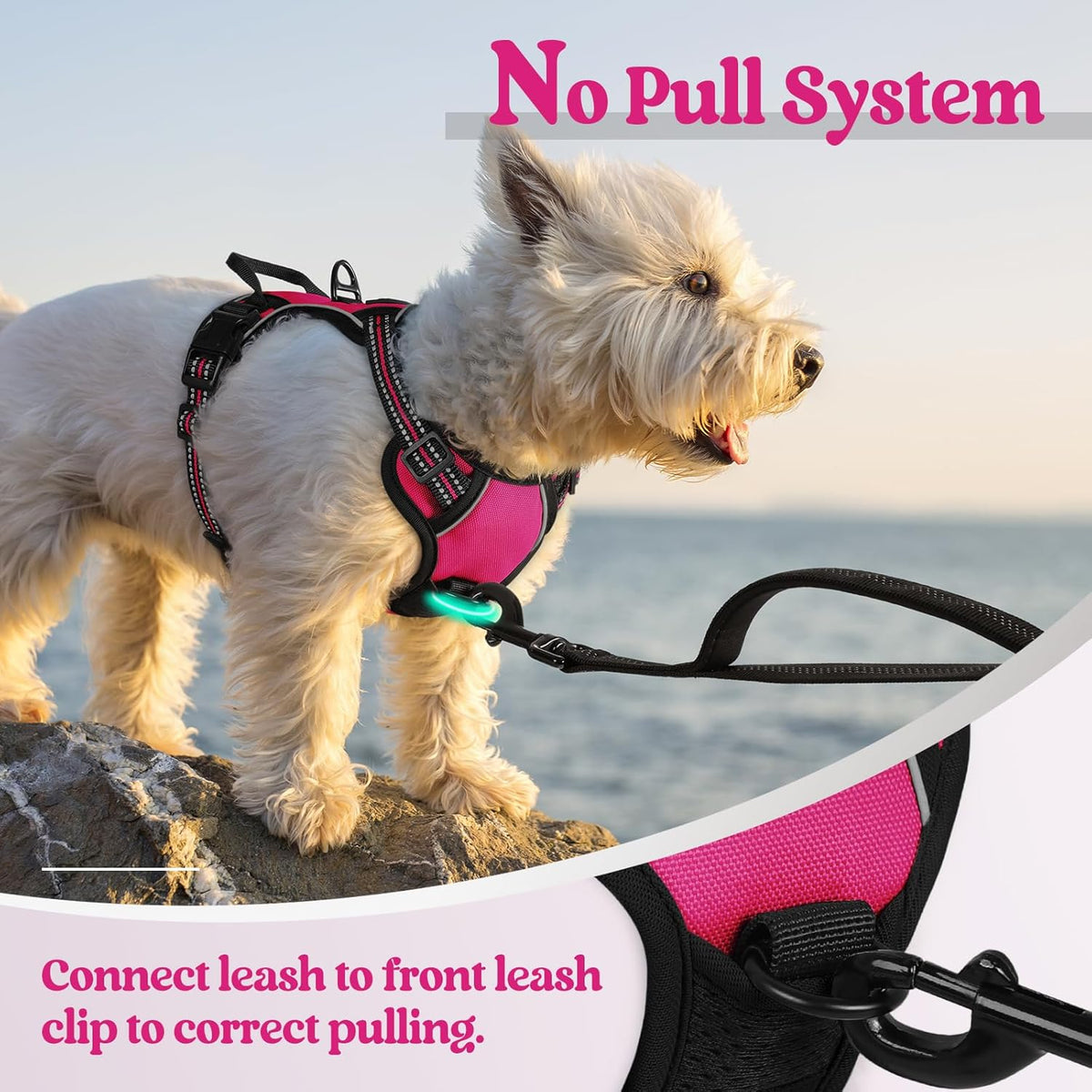 rabbitgoo Dog Harness No Pull with 2 Leash Clips, Adjustable Soft Padded, Reflective Oxford No Choke Pet Vest with Easy Control Handle for Puppy, Hot Pink, XS