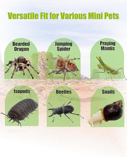 Jumping Spider Enclosure, Transparent Arboreal Tarantula Habitat, Praying Mantis Terrarium Critter Cage for Jumping Spider, Tarantula Slings, Mantis, Snail, Isopods, Beetles, Millipedes