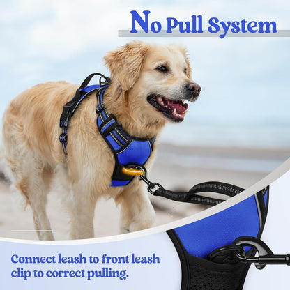rabbitgoo Dog Harness No Pull with 2 Leash Clips, Adjustable Soft Padded, Reflective Oxford No Choke Pet Vest with Easy Control Handle for Small Dogs, Dazzling Blue, S