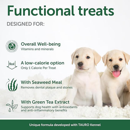 Nature's Protection Training Puppy Treats - Healthy, Grain Free Dog Treats for Small, Medium & Large Breed Dogs with Light Fur (Superior Care - Insects, 5.29 oz)