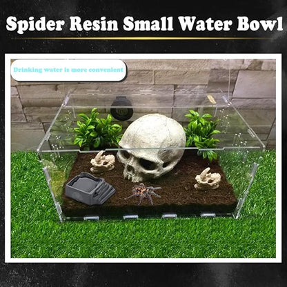 6 Pack Tarantula Water Bowl Hermit Crab Resin Dish for Reptile Tarantula Spider Millipede Insect (Large: 0.94" D, 0.47" H)