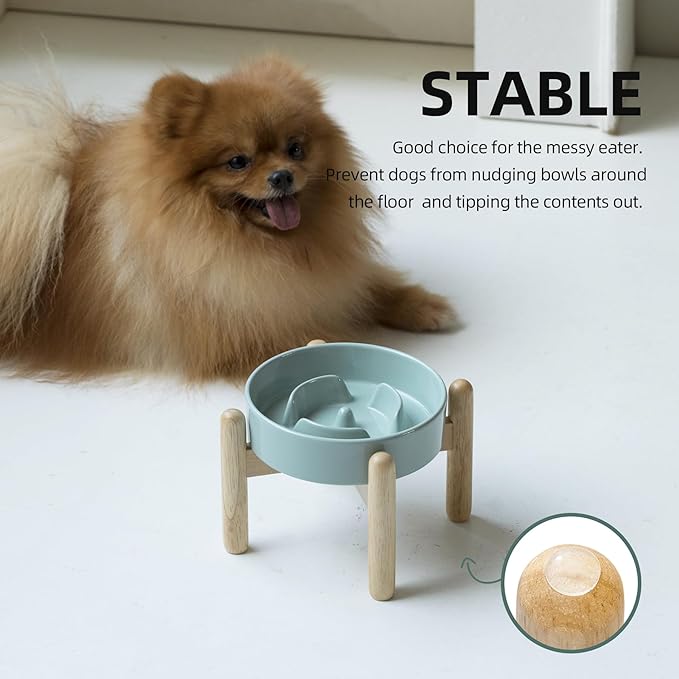 Ceramic 0.9 Cup Raised Dog Slow Feeder Set, Elevated Bowl