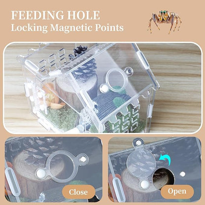 Jumping Spider Enclosure for Small Species, Acrylic Reptile Terrarium Habitat with Feeding Hole for Tarantulas, Praying Mantis, Gecko,Insects, Hermit Crab, Lizard, Snails Isopods - 6"*4"*6"