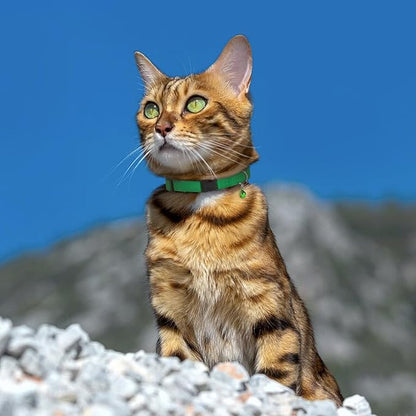 Breakaway Cat Collar Leather with Removable Bell - 13 Colors Available - Soft Adjustable Girl Boy Safety Lightweight Pet Kitten Collars Pink Brown Blue Green Red Orange Black (Green)