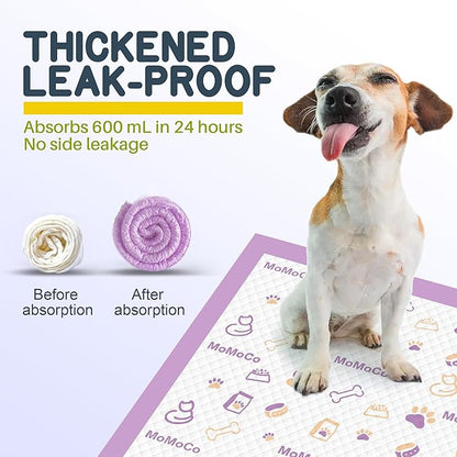 MoMoCo 50 Count Puppy Pads, 22" x 22" Dog Pee Pads with 6-Layer Leak-Proof Protection, Quick-Dry Disposable Training Pads, Super Absorbent Pet Pads