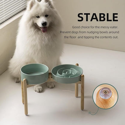 3.2 Cup Ceramic Raised Slow Feeder Dog Bowl Set, Elevated 8.2inch Bowl and