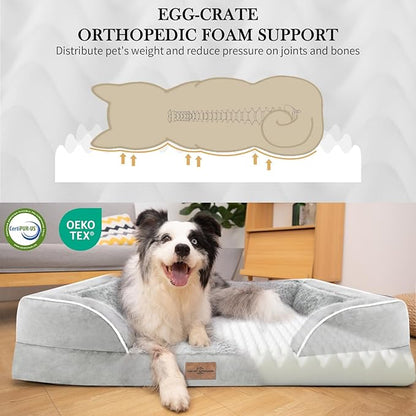Comfort Expression Orthopedic Dog Bed