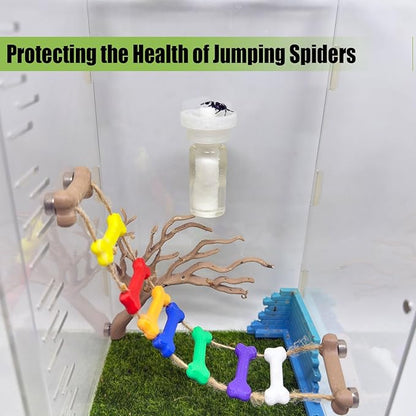 Jumping Spider Water Dispenser, Magnetic Hanging Feeder,Suitable for Jumping Spiders,Tarantulas, Praying Mantises,Arboreal Animals, and Other Small Animal Enclosure Accessories (Transparent, 10ML)