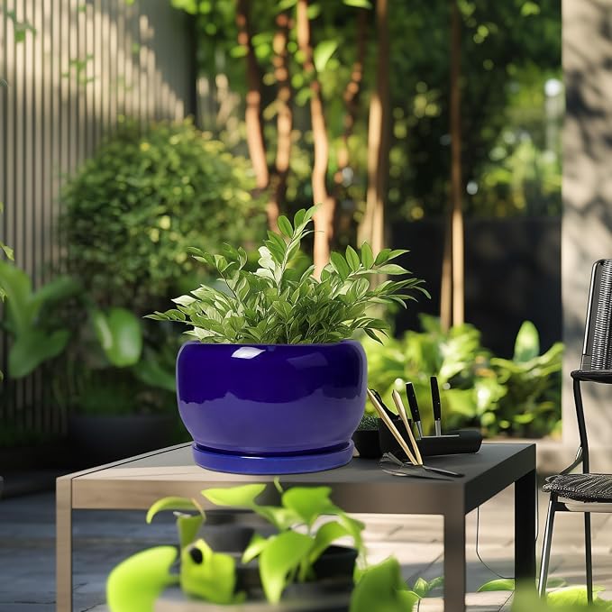 SQOWL Ceramic Plant Pot - 10 Inch Ceramic Planter for Indoor Outdoor, Round Flower Pot with Drainage Hole and Saucer, Modern Decorative Large Planter, Garden Decor, Plant Lover Gifts, Blue