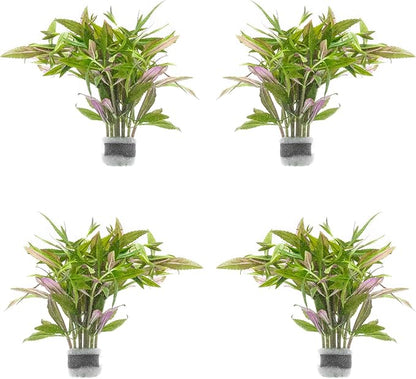 SubstrateSource Live Aquarium Stem Plants - Freshwater Aquatic Plant for Fish Tanks, Aquascaping - (Limnophila Aromatica, 4 Bunches)