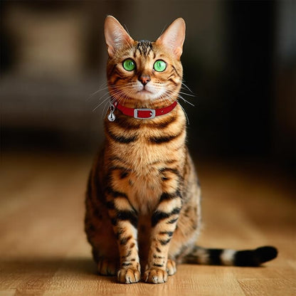 OOPSDOGGY Rolled Leather Cat Collar with Bell, Reflective Kitten Collars with Buckle Include Safety Elastic Strap - Adjustable Small Pet Collars for Boy Girl Cats (Red)