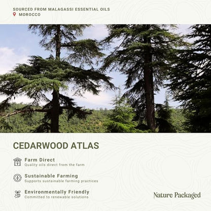 Cedarwood Atlas Essential Oil