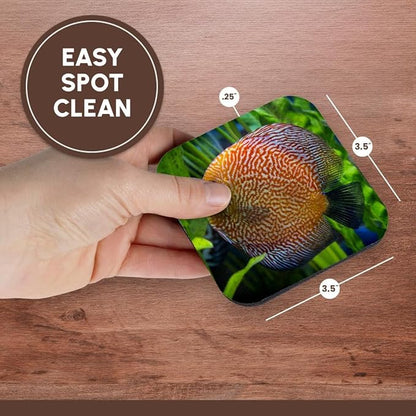 3dRose Super Pigeon Snakeskin Discus, Tropical Freshwater Fish Set of 4 Coasters - Soft