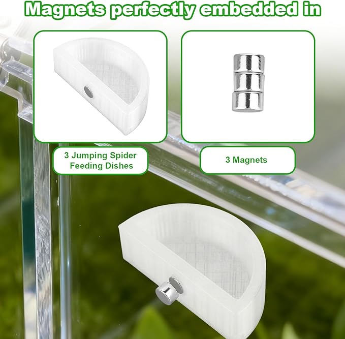3pcs Jumping Spider Water Bowl with Magnetic, Leak-Proof Jumping Spider Food Feeding Dispenser Dish Enclosure Decor Accessories for Tarantula Mantis Small Reptiles and Pets (Half Round)