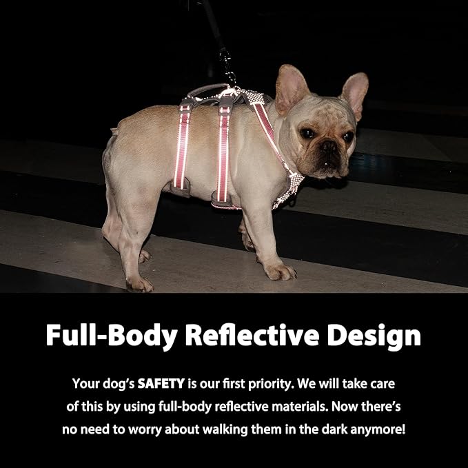 Escape Proof Dog Harness, Secure Dog Harness No Escape, Fully Reflective Harness with Handle,Breathable,Durable, Adjustable Vest for Small Dogs Walking, Training,and Running Gear (Sea Blue,S)