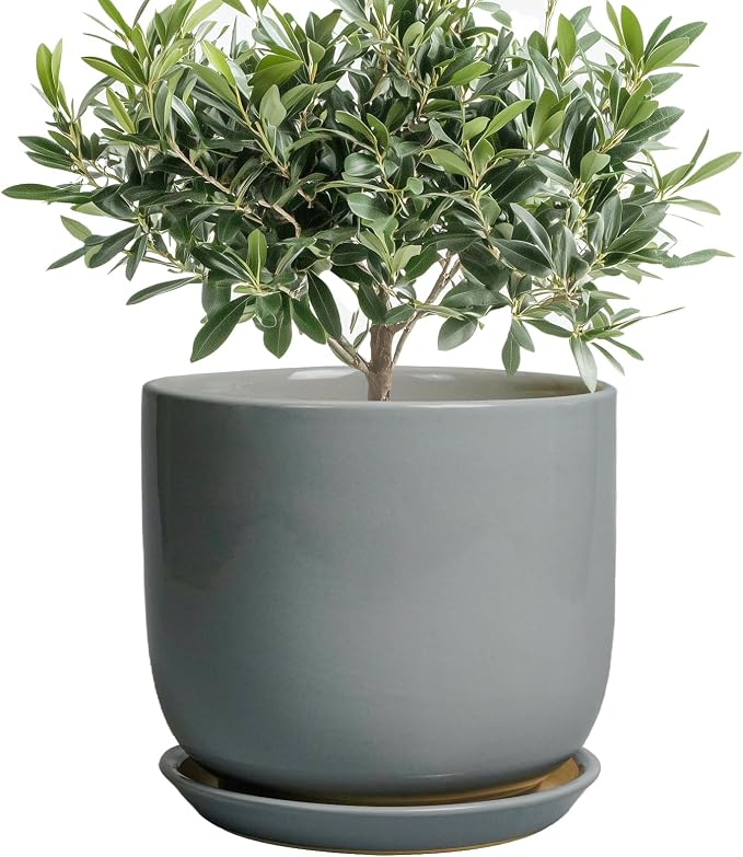 Ceramic Planter for Indoor Outdoor Plants - Cylinder Decorative 8 Inch Plant Pot with Drainage Hole and Saucer, Modern Home Decor, Gray
