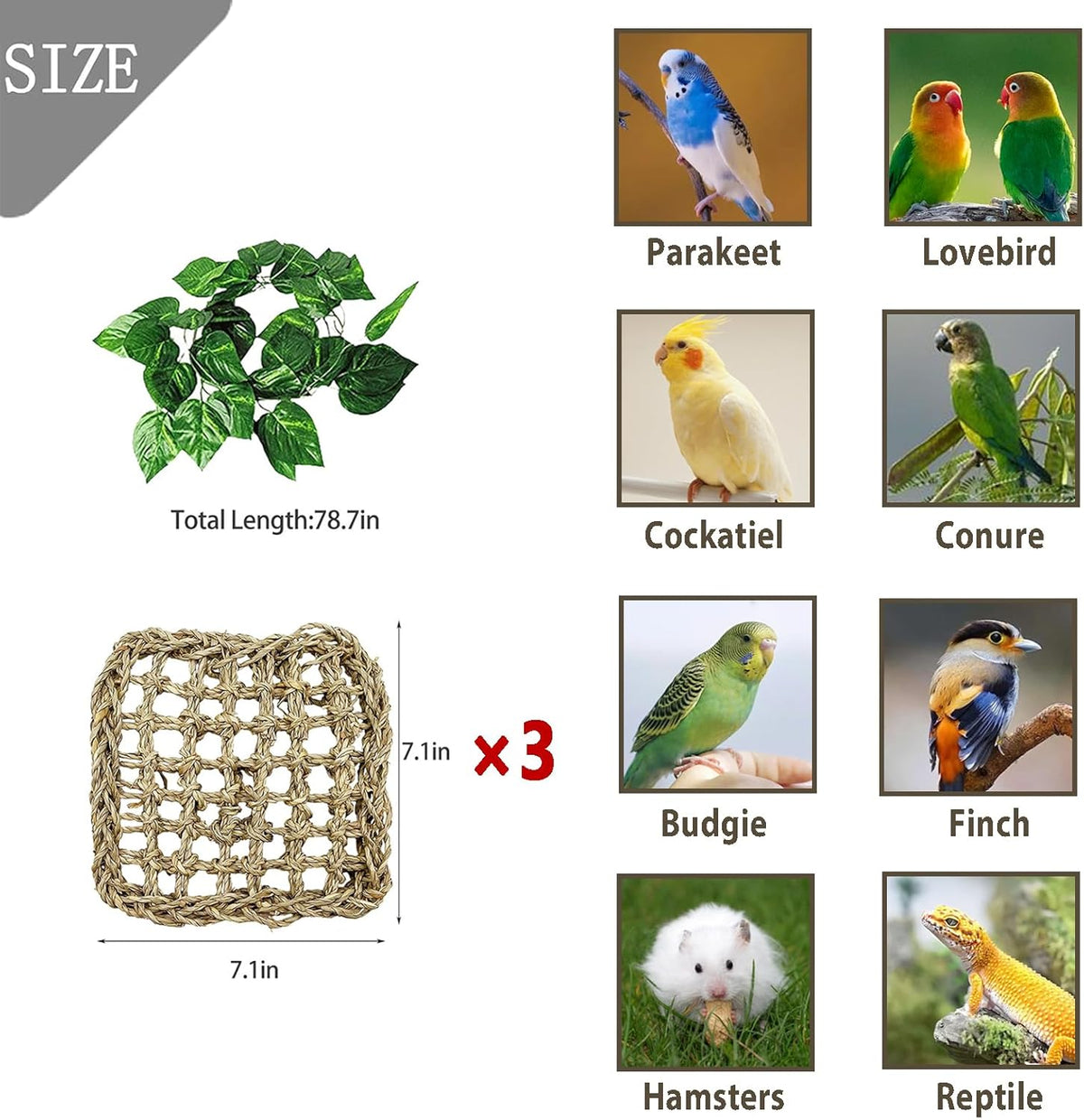 BNOSDM Bird Seagrass Mat, 3 PCS 7.1 x 7.1 Inches Parrot Natural Seagrass Woven Bird Net Hammock Mat, Parakeet Climbing Rope Ladder Chew Toys Hut Hideout for Lovebird Cockatiel Conure Budgie
