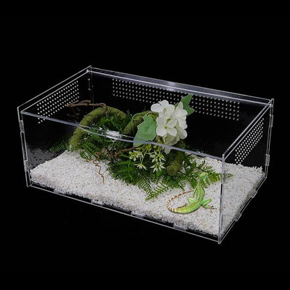 Micro Habitat Terrarium Enclosure, Jumping Spider Enclosure with Locking Latch for Small Tree Dwelling Reptiles,Tarantula, Amphibians, Spiders,Invertebrates (6x8x14 inxh)
