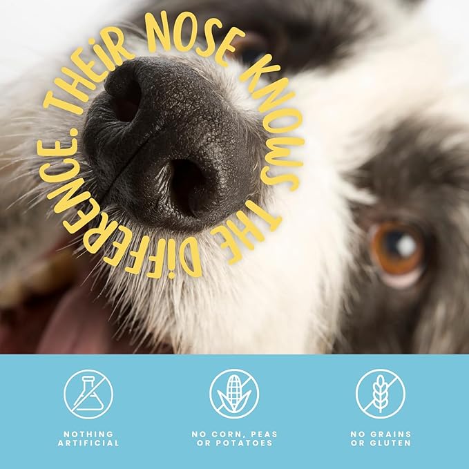 Dehydrated Lamb Lung Dog Treats - 2 Pound Big Bag, All-Natural, Made in USA - High Protein, Low Fat - Slow Roasted Oven Baked A Healthy Rawhide Alternative for All Dogs