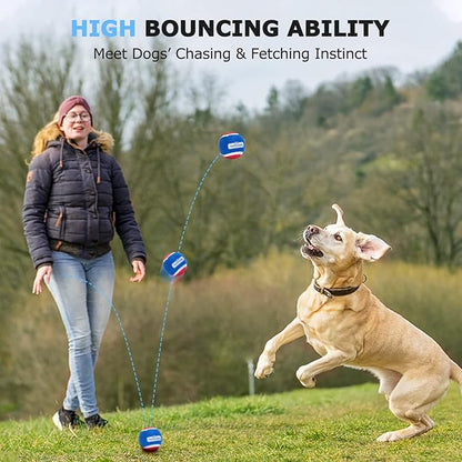 Nobleza Dog Tennis Balls 12 Pack, Durable Bouncy Floatable Squeaky Tennis Balls for Dogs for Fetch & Exercise, Training Interactive Natural Rubber Squeaky Dog Ball for Small Medium Dogs, 2.5in