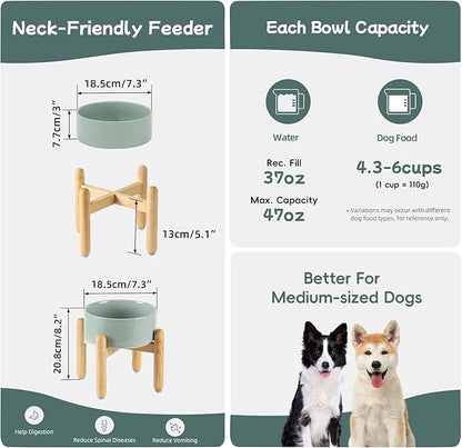 Ceramic 7.3inch Raised Dog Bowl Set, Elevated